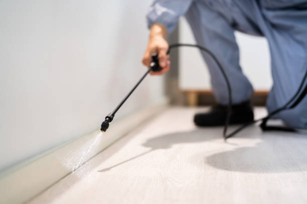 Professional exterminator conducting IPM assessment in Fredonia
